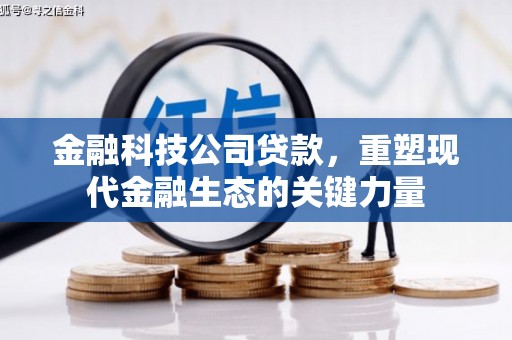 二水金融科技公司贷款，重塑现代金融生态的关键力量