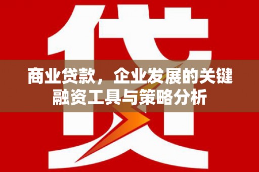 二水商业贷款，企业发展的关键融资工具与策略分析