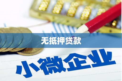 二水无抵押贷款