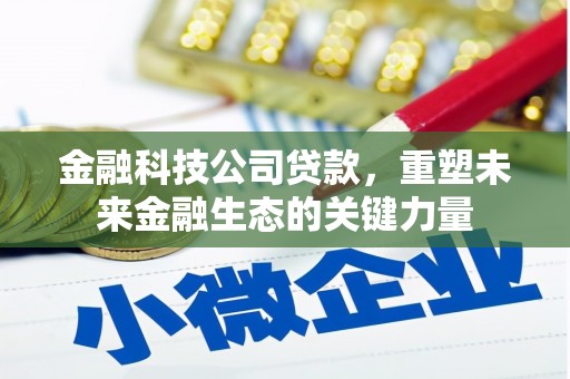 二水金融科技公司贷款，重塑未来金融生态的关键力量