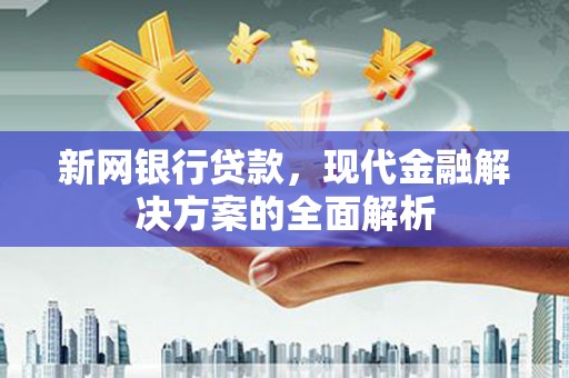 二水新网银行贷款，现代金融解决方案的全面解析