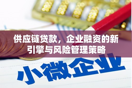 二水供应链贷款，企业融资的新引擎与风险管理策略