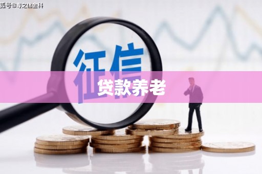 二水贷款养老
