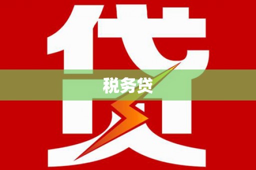 二水税务贷