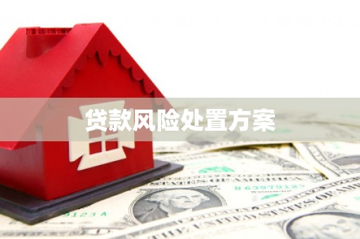 二水贷款风险处置方案