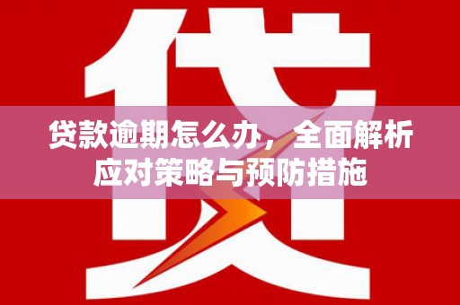 二水贷款逾期怎么办，全面解析应对策略与预防措施