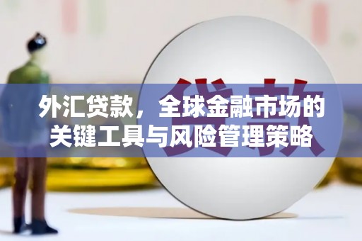 二水外汇贷款，全球金融市场的关键工具与风险管理策略