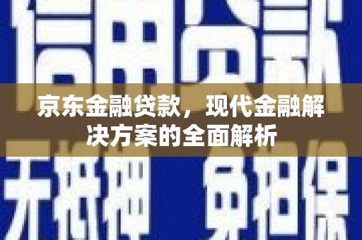 二水京东金融贷款，现代金融解决方案的全面解析
