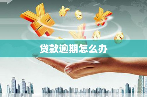 二水贷款逾期怎么办