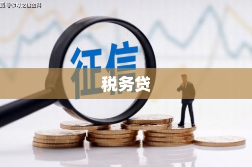 二水税务贷