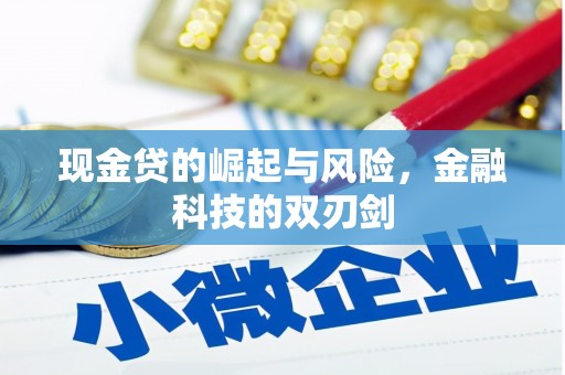 二水现金贷的崛起与风险，金融科技的双刃剑