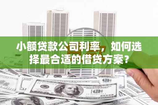 二水小额贷款公司利率，如何选择最合适的借贷方案？