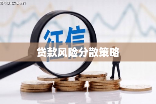 二水贷款风险分散策略