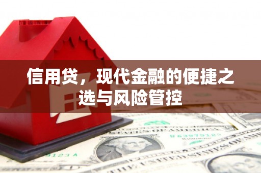 二水信用贷，现代金融的便捷之选与风险管控