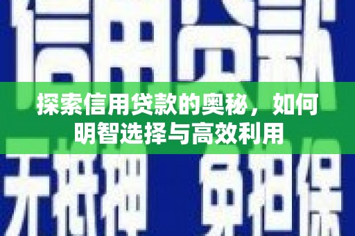 二水探索信用贷款的奥秘，如何明智选择与高效利用