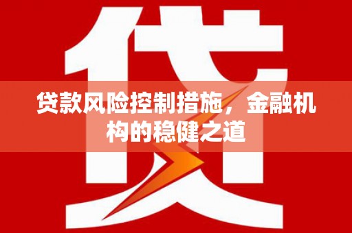 二水贷款风险控制措施，金融机构的稳健之道