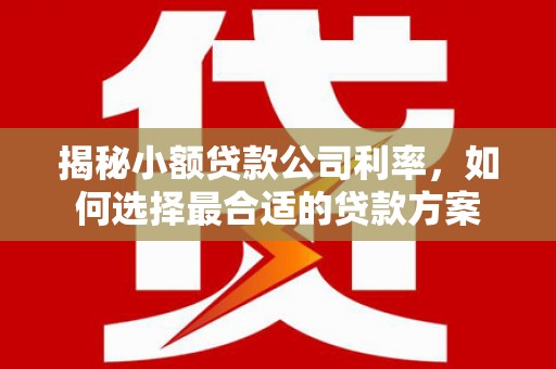二水揭秘小额贷款公司利率，如何选择最合适的贷款方案