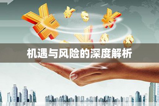 二水机遇与风险的深度解析