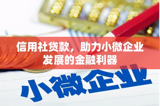 二水信用社贷款，助力小微企业发展的金融利器