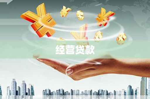 二水经营贷款