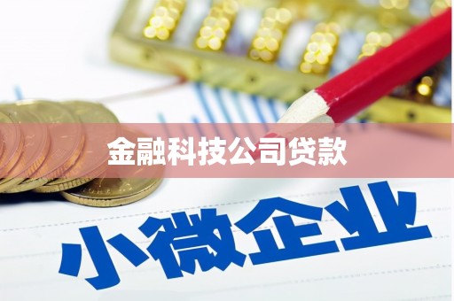二水金融科技公司贷款