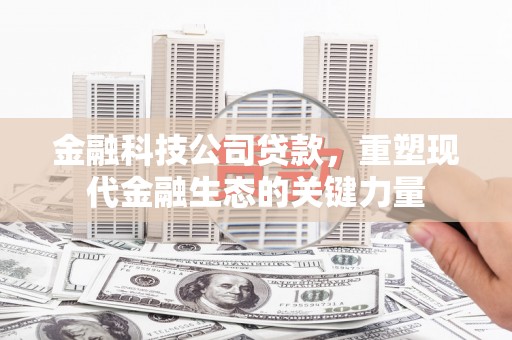 二水金融科技公司贷款，重塑现代金融生态的关键力量