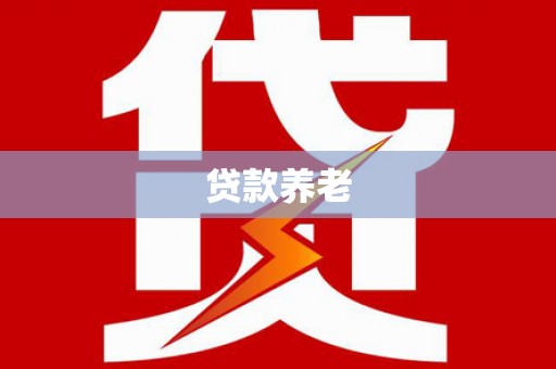 二水贷款养老