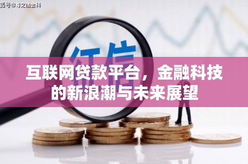 二水互联网贷款平台，金融科技的新浪潮与未来展望