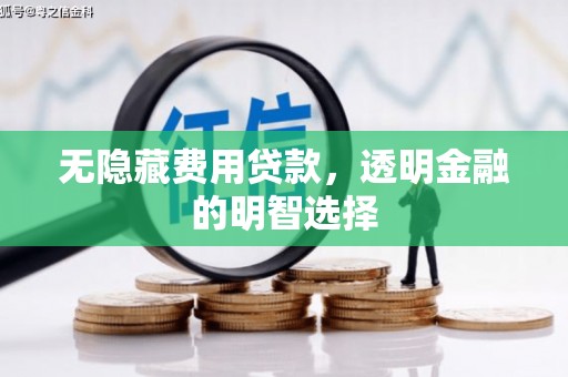 二水无隐藏费用贷款，透明金融的明智选择