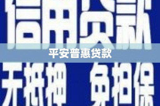 二水平安普惠贷款