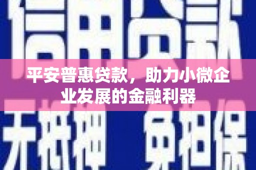 二水平安普惠贷款，助力小微企业发展的金融利器