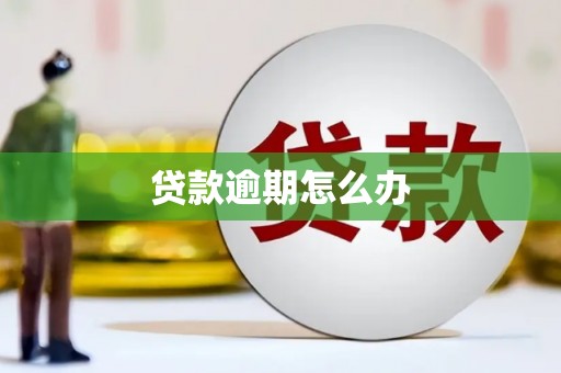 二水贷款逾期怎么办