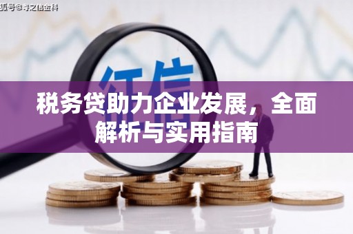 二水税务贷助力企业发展，全面解析与实用指南