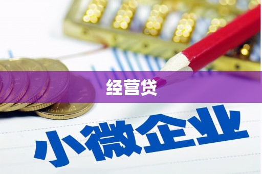 二水经营贷