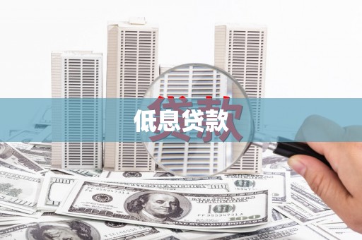 二水低息贷款
