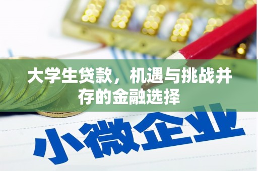 二水大学生贷款，机遇与挑战并存的金融选择