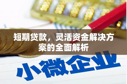 二水短期贷款，灵活资金解决方案的全面解析