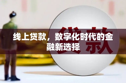 二水线上贷款，数字化时代的金融新选择