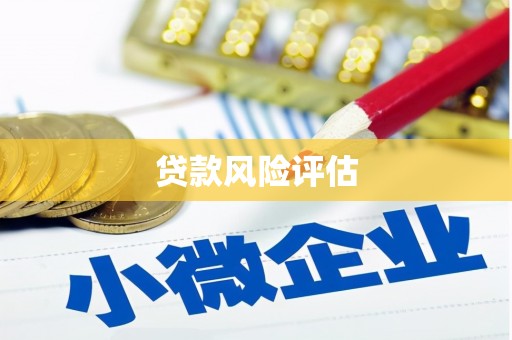 二水贷款风险评估