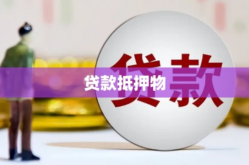 二水贷款抵押物