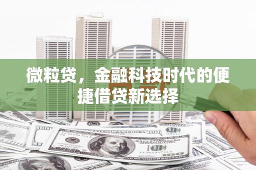 二水微粒贷，金融科技时代的便捷借贷新选择