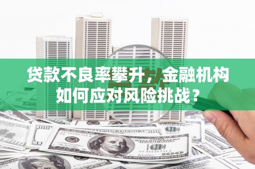 二水贷款不良率攀升，金融机构如何应对风险挑战？