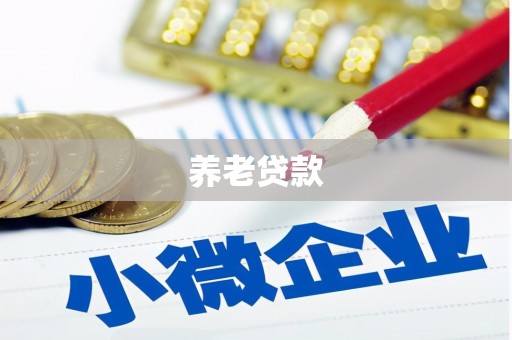 二水养老贷款
