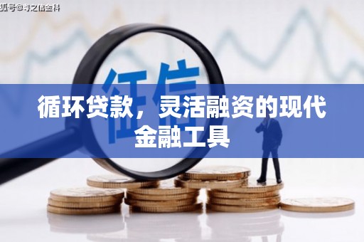 二水循环贷款，灵活融资的现代金融工具