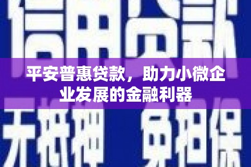 二水平安普惠贷款，助力小微企业发展的金融利器