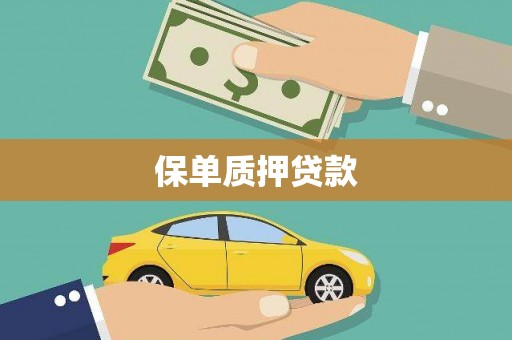 二水保单质押贷款