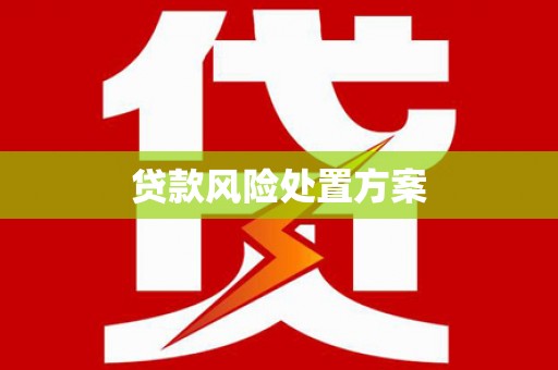二水贷款风险处置方案