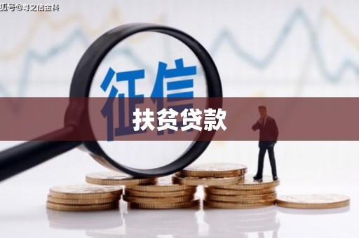 二水扶贫贷款