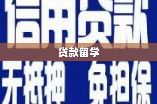 二水贷款留学