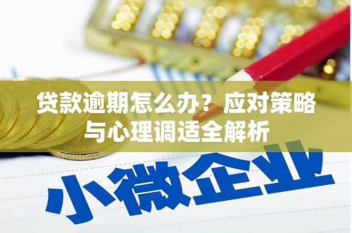 二水贷款逾期怎么办？应对策略与心理调适全解析